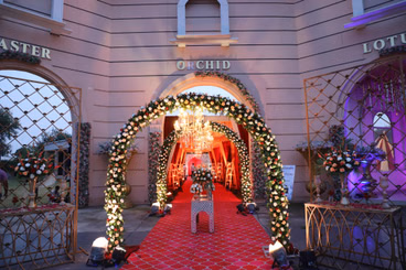 Vivaah by The Big Orchid